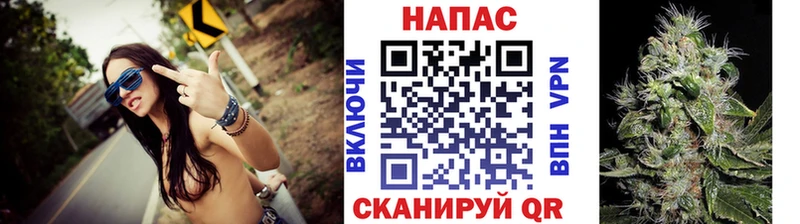 сколько стоит  Оха  Канабис индика 